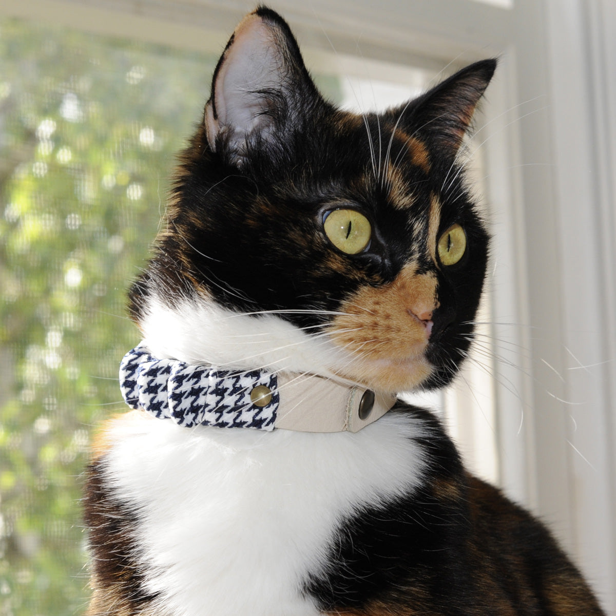 Nominoo Leather Cat Collar, With Houndstooth Fabric | at Made Moggie
