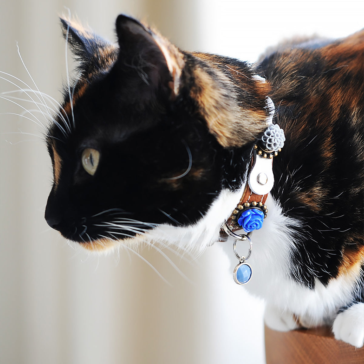 Superpipapo Luxury Leather Cat Collar, In Brown With Studs, Wood Disc, Charm, & 3D Roses In Blue & Grey | at Made Moggie