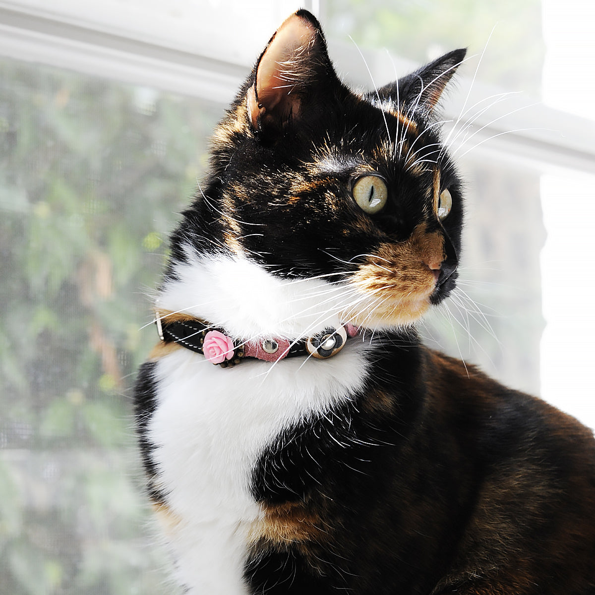 Superpipapo Luxury Leather Cat Collar, In Black With Wood Disc, 3D Roses In Pink & White, & Pink Patches | at Made Moggie