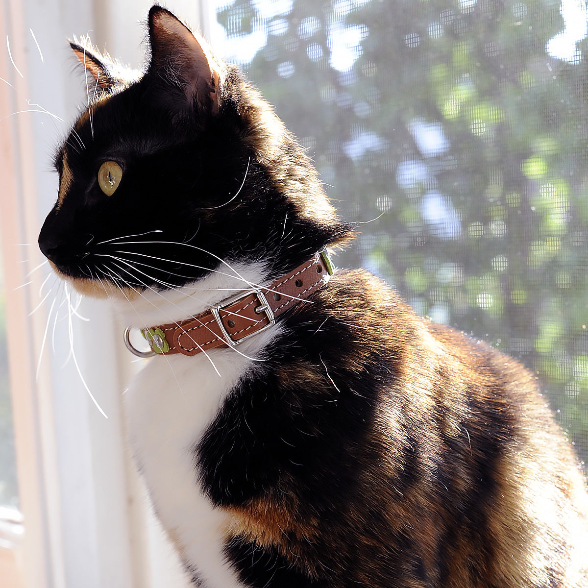 Superpipapo Buckle Cat Collar, In Green & Brown Leather With Studs, & Daisy Flower Patches | at Made Moggie