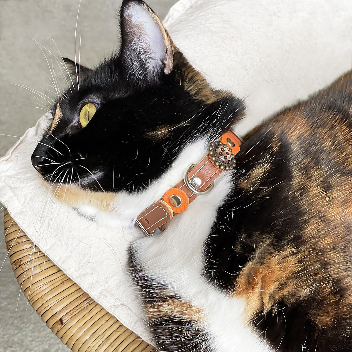 Superpipapo Luxury Leather Cat Collar, In Brown & Orange With Studs, Stones & Hand Painted Ornaments | at Made Moggie
