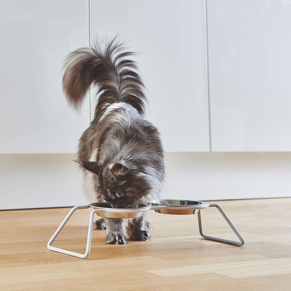 Cat Uses Stainless Steel Cat Bowls In Cat Feeder | Buy at Made Moggie Australia.