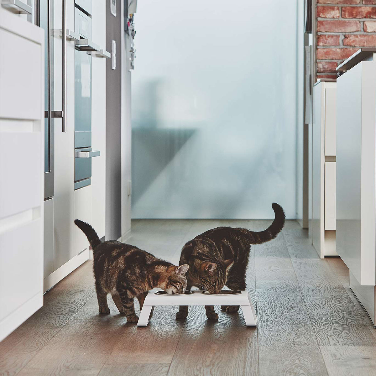 MiaCara Desco Cat Food Station, In White | at Made Moggie