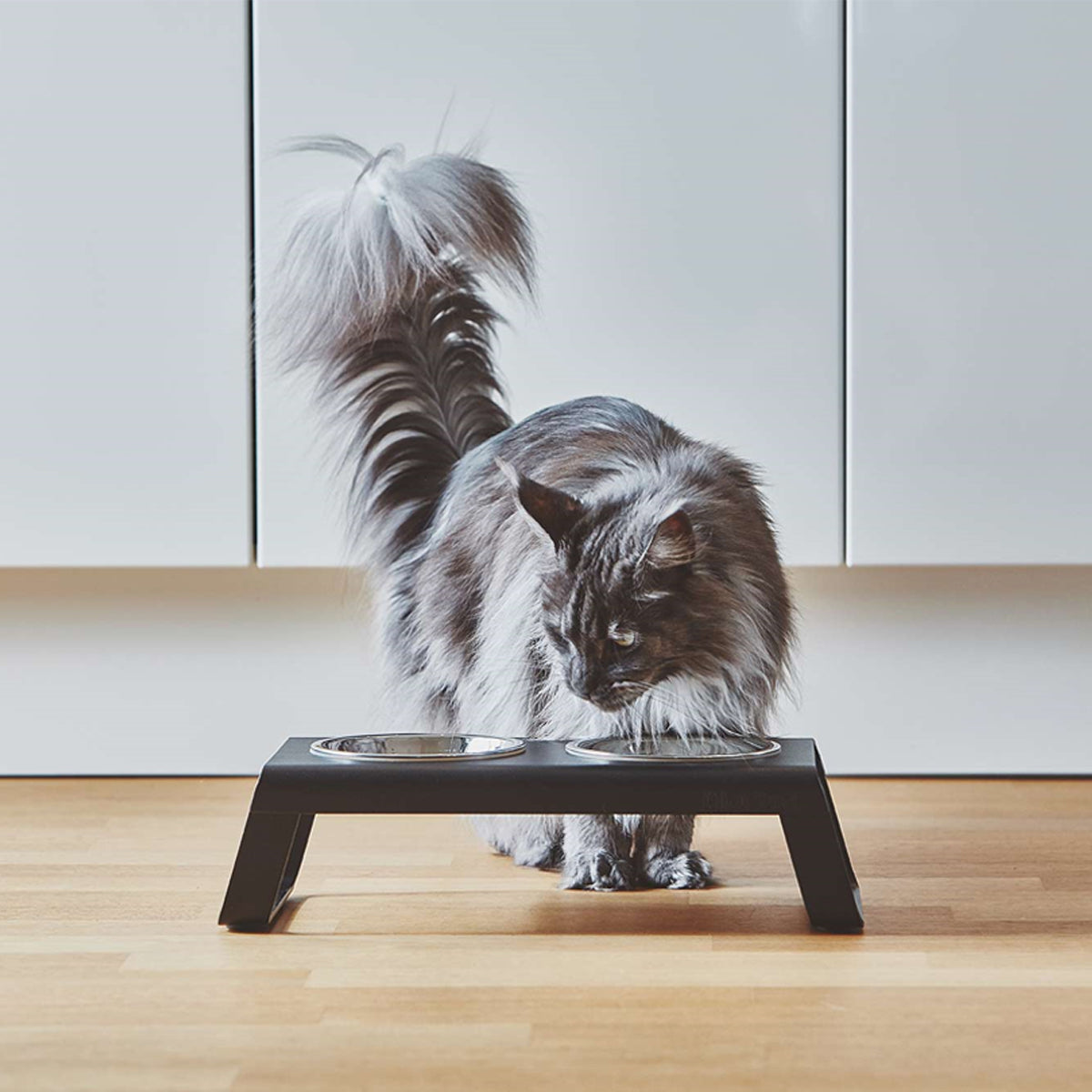 MiaCara Cat Bowl Stand, In Black Wood & Stainless Steel | at Made Moggie