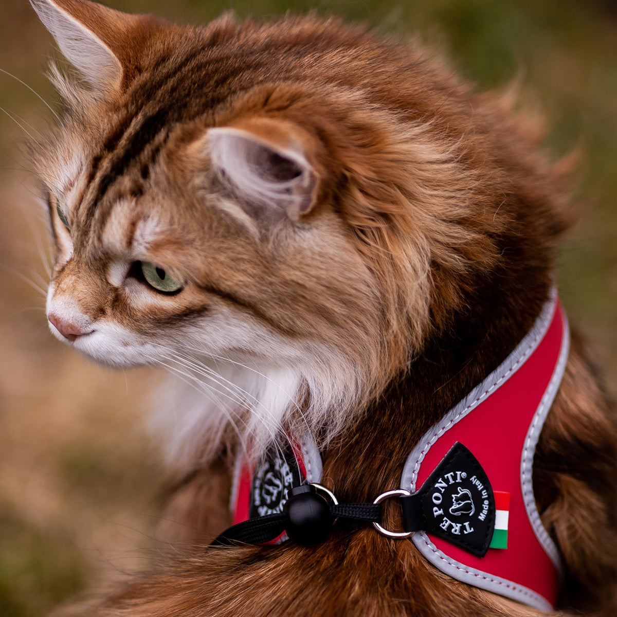 Tre Ponti Adjustable Cat & Kitten Harness, Genesis Silver In Red | at Made Moggie