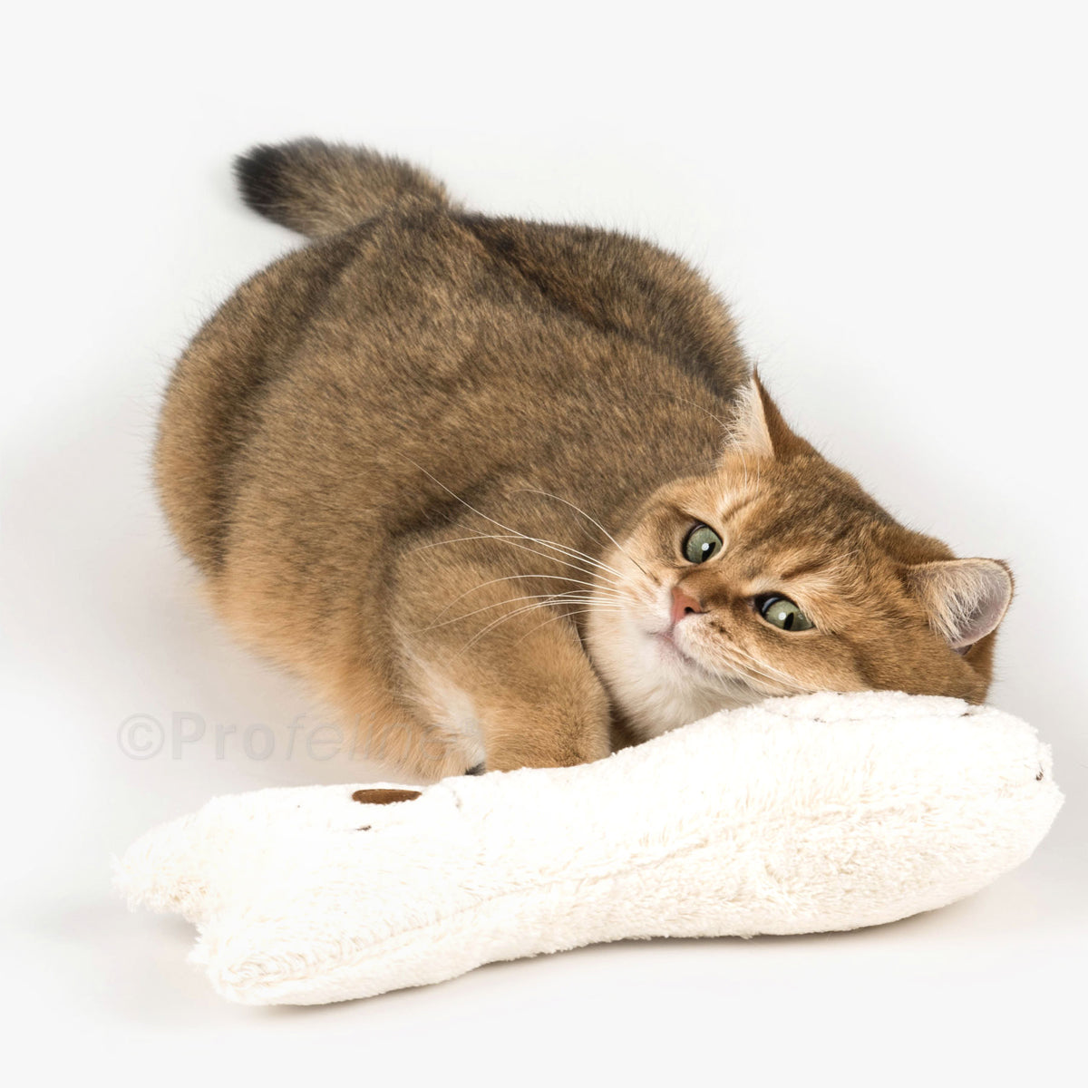 Profeline Catnip Buddy Cat Toy, For Cuddling & Kicking | at Made Moggie