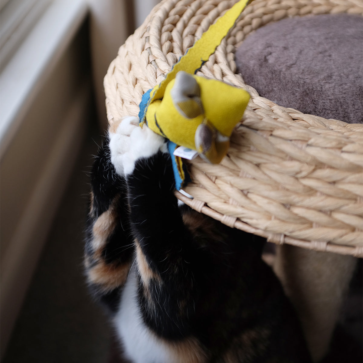Cat Plays With Yellow Catnip Mouse Toy | Buy at Made Moggie Australia.