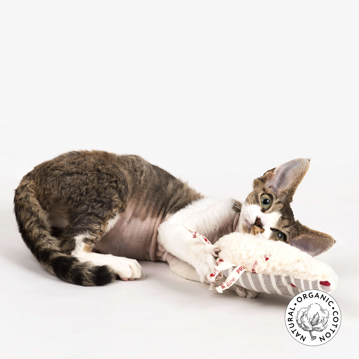 Profeline Catnip Love Spiky, Soft Cat Toy In Plush Fabric One Side | at Made Moggie