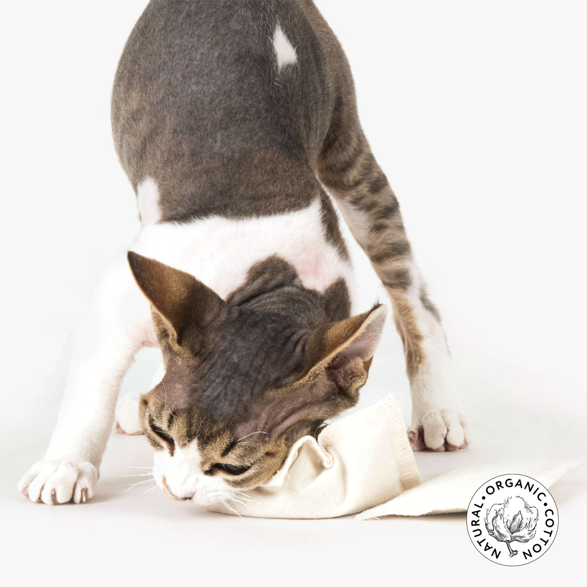 Profeline Catnip & Valerian Refill Pouch, For Cat Toys & Bedding | at Made Moggie