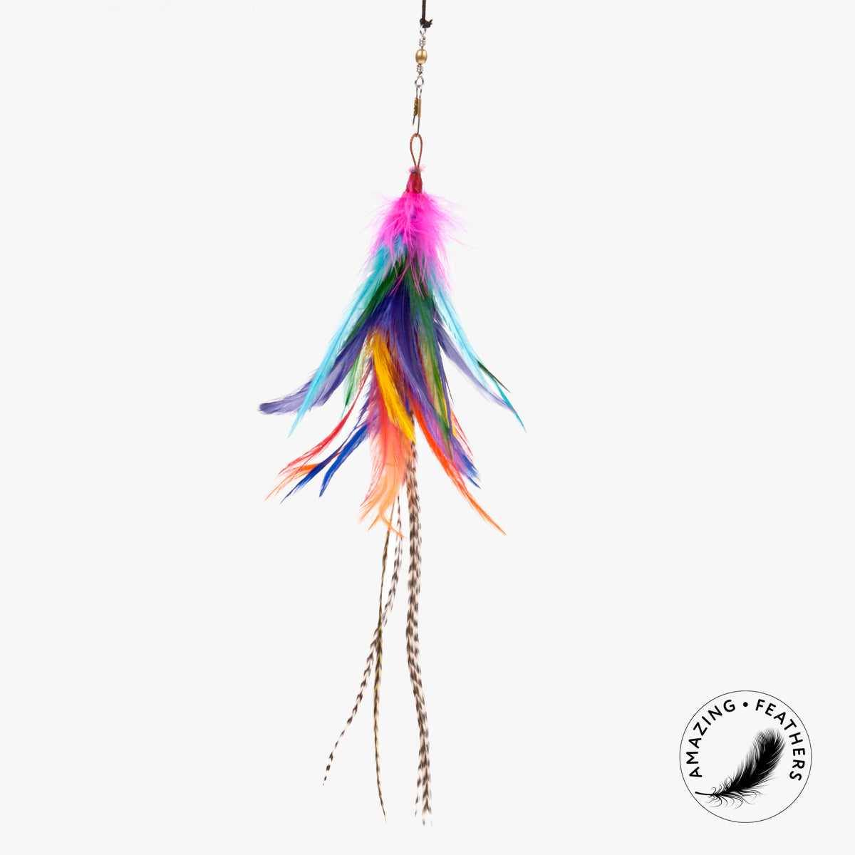 Profeline Brazil Feather Cat Toy, In Bright Colours | at Made Moggie