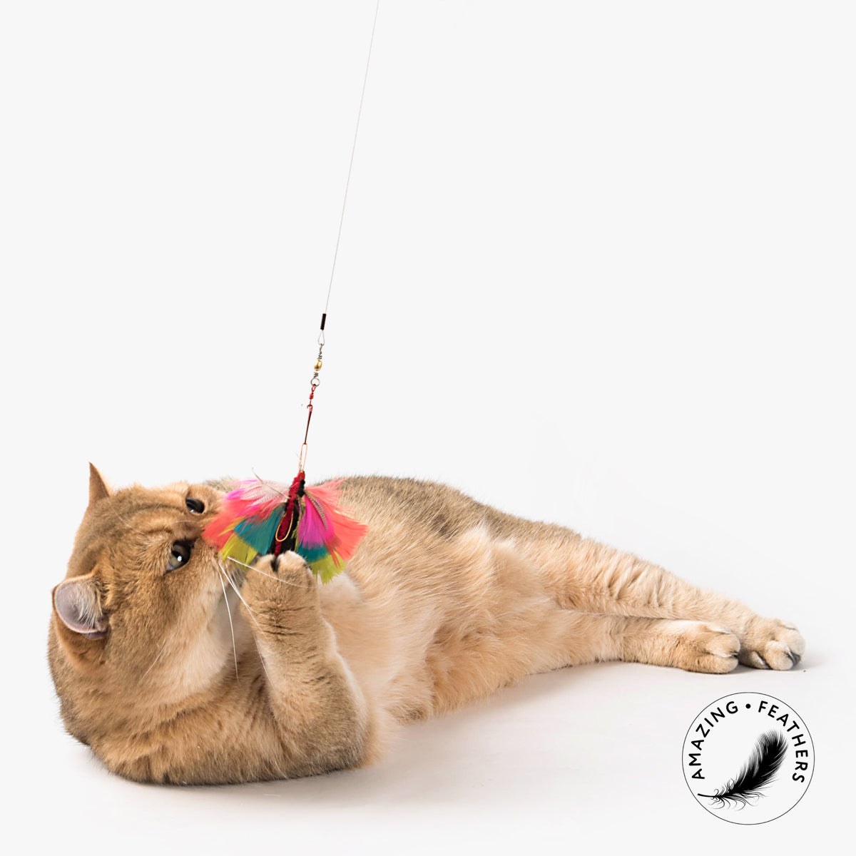 Profeline Feather Butterfly Cat Toy, With Chenille Body | at Made Moggie