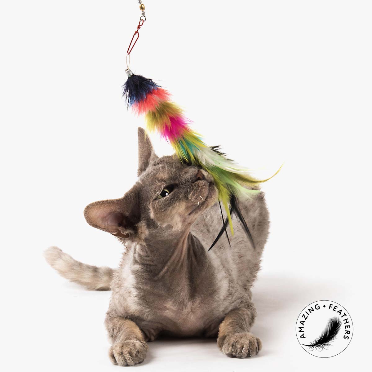 Profeline Striped Marabou Feather Cat Toy, From Colourful Edition Set | at Made Moggie