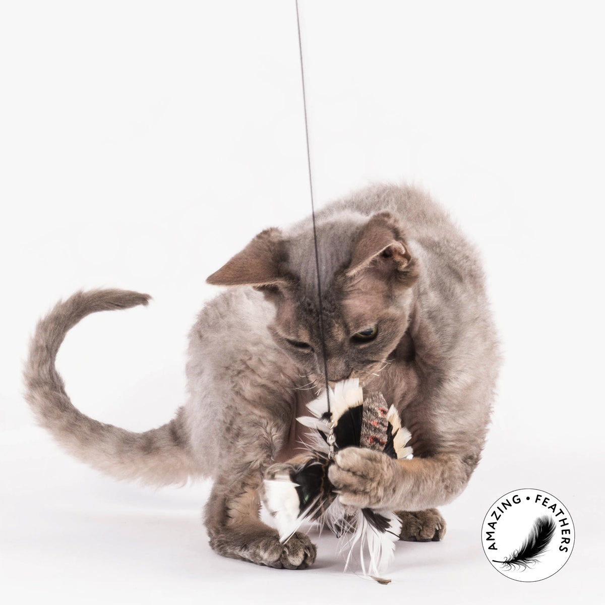 Profeline Cat Toy, Handmade From Feathers | at Made Moggie