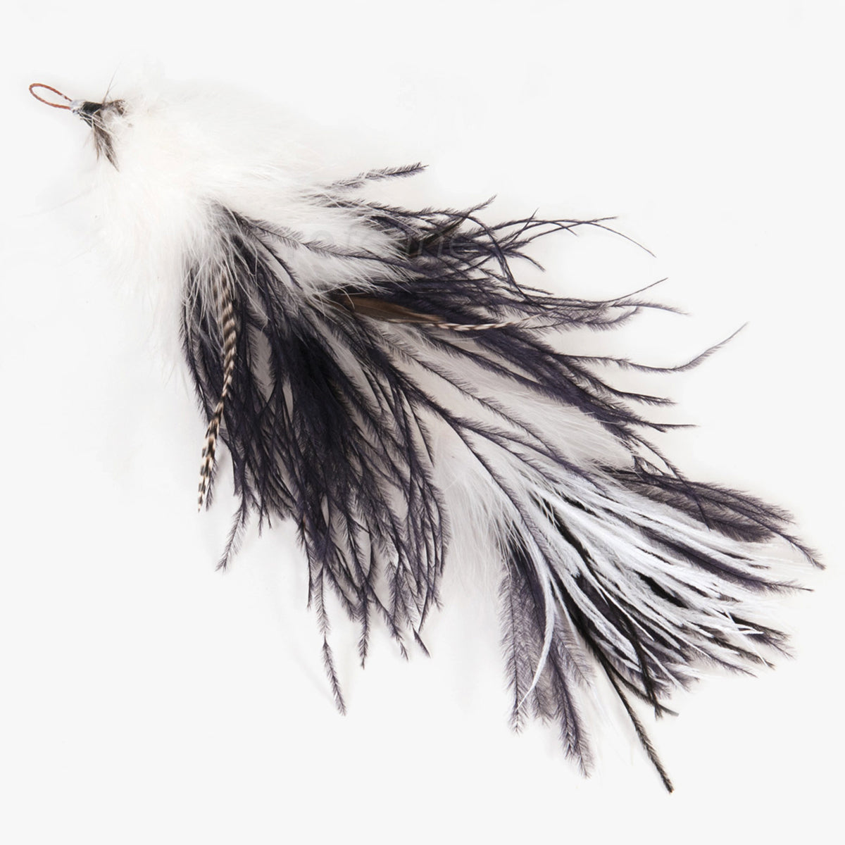 Profeline Ostrich Refill, Large Feather Cat Toy In Black & White Feathers | at Made Moggie