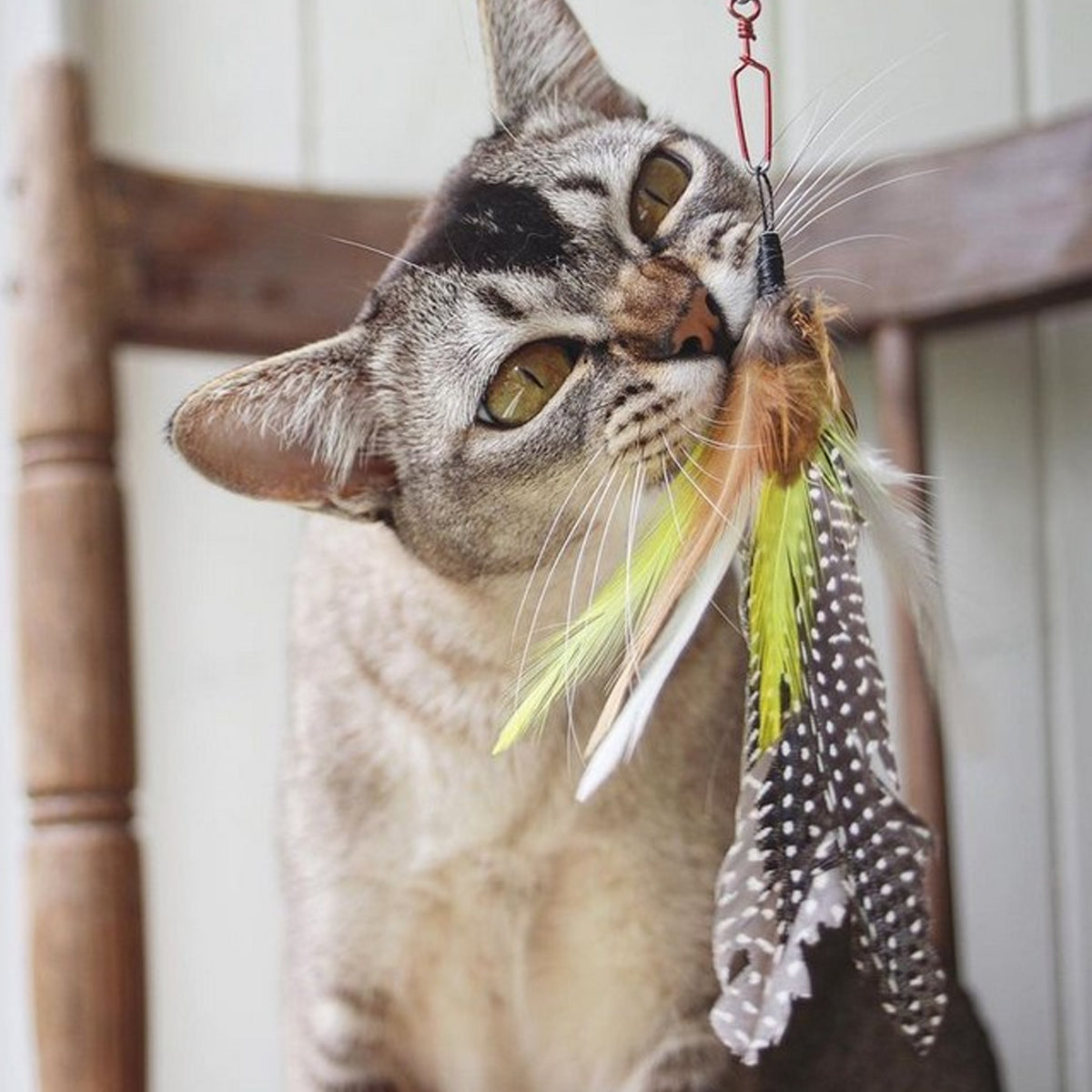 Profeline Feather Toy For Cats, Pepita Refill In Natural Materials | at Made Moggie