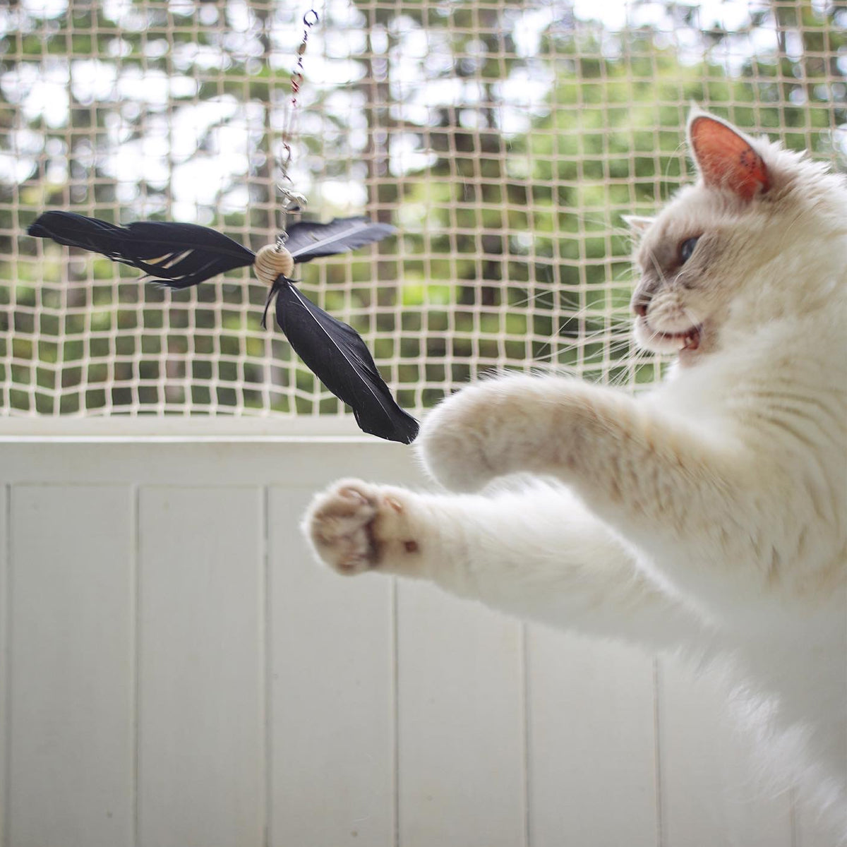 Profeline Propeller Refill, Feather Cat Toy Wand Attachment | at Made Moggie