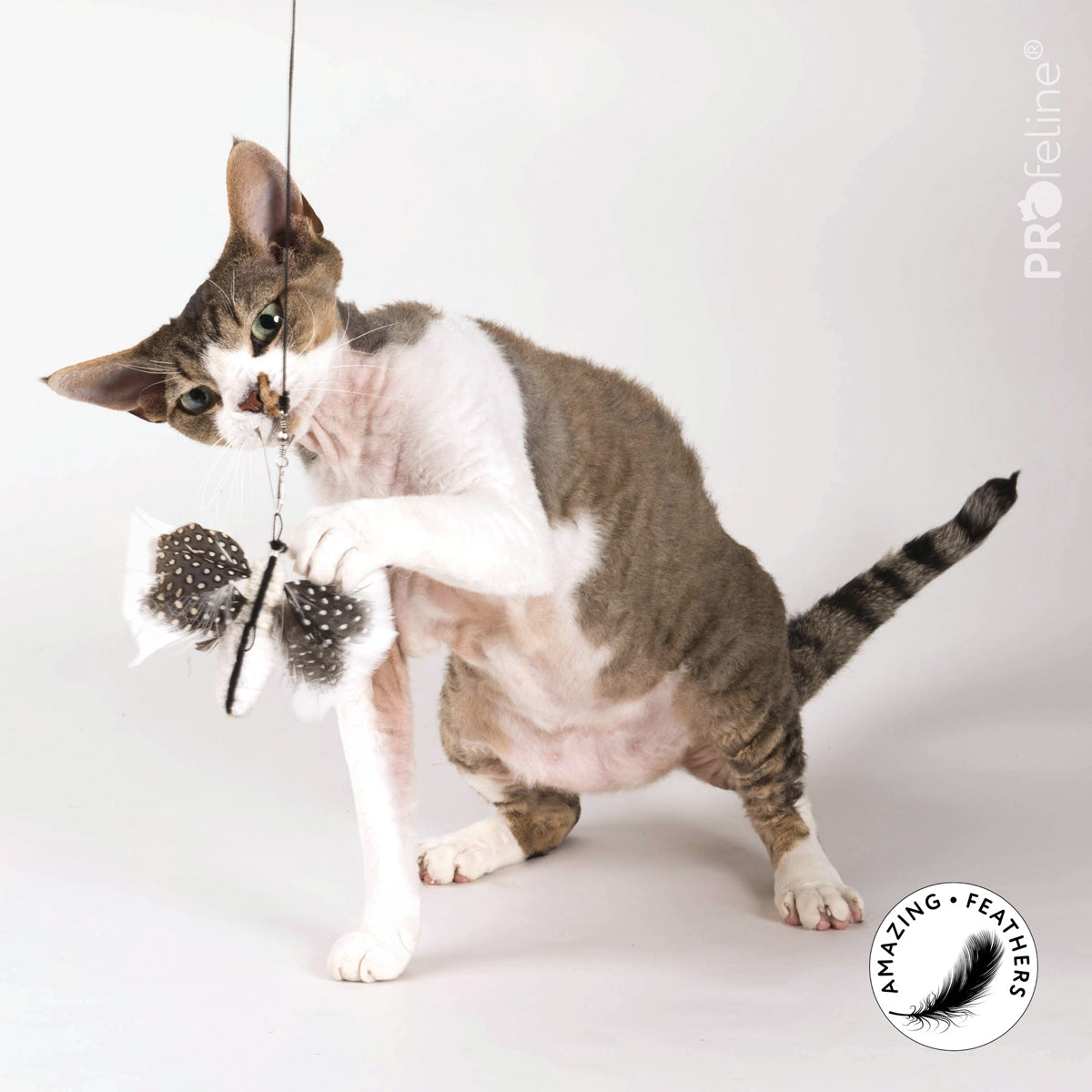 Profeline Feather Cat Toy, In White Butterfly Shape | at Made Moggie