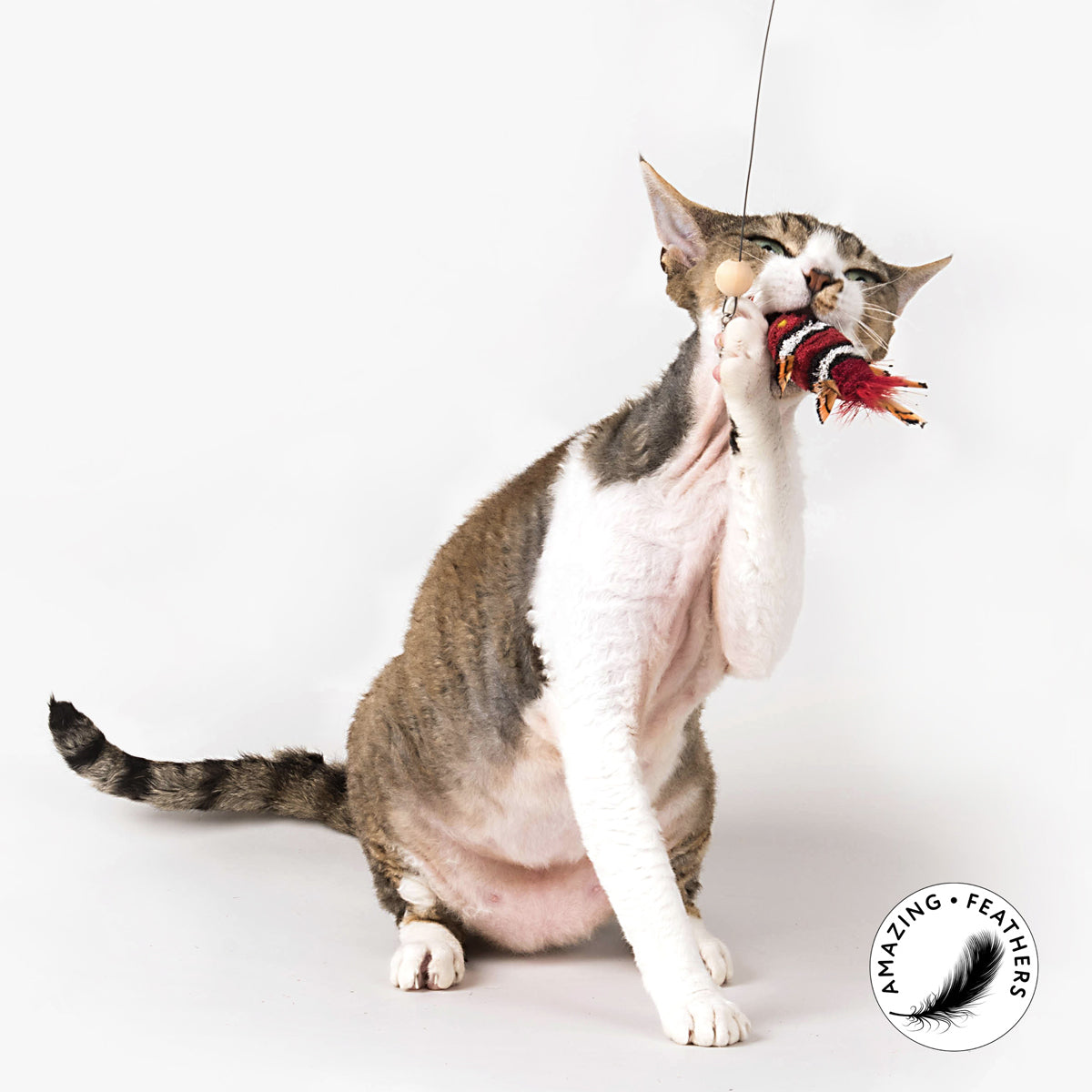Profeline Bristle Fish Cat Toy, In Red Stripes | at Made Moggie