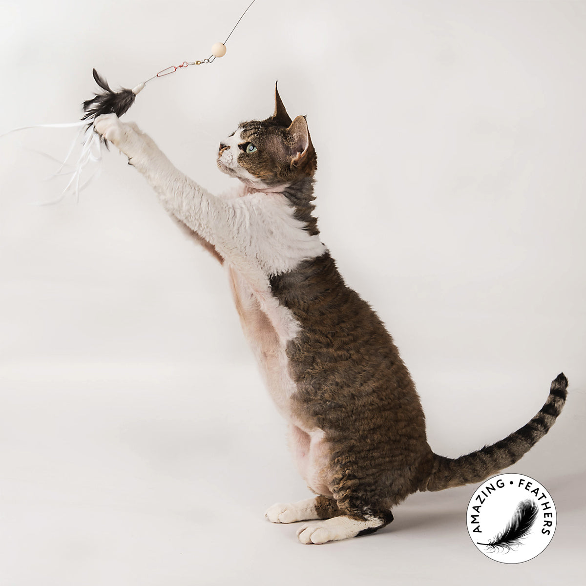 Profeline Feather Toy For Cats, Tickle Tease Refill | at Made Moggie