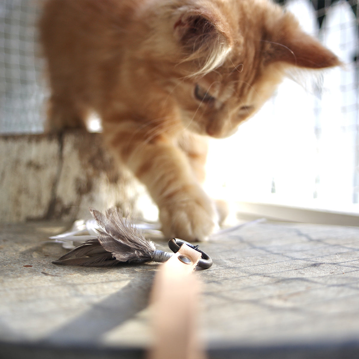 Profeline Feather Cat Toy, Tickle Tease Refill  | at Made Moggie