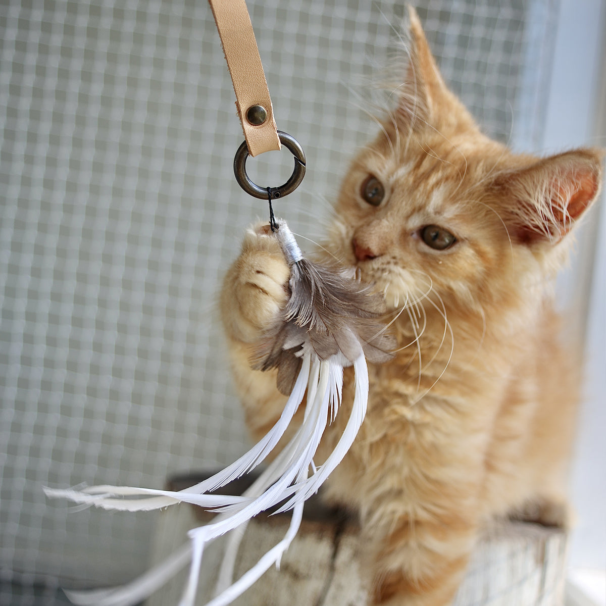 Profeline Toy For Cats, With White Feathers | at Made Moggie