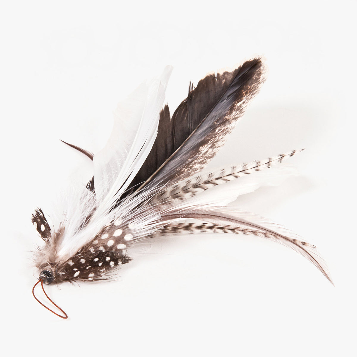 Profeline Natural Cat Toy, Turkey Feather Refill For Cat Wands | at Made Moggie