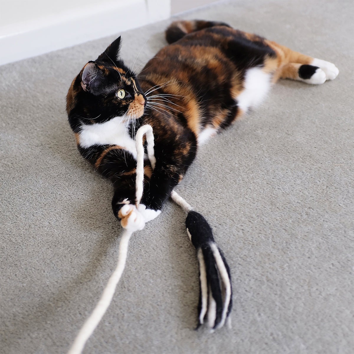 Cat With Felt Cat Toy | Felted Teaser by Profeline | Buy at Made Moggie Australia