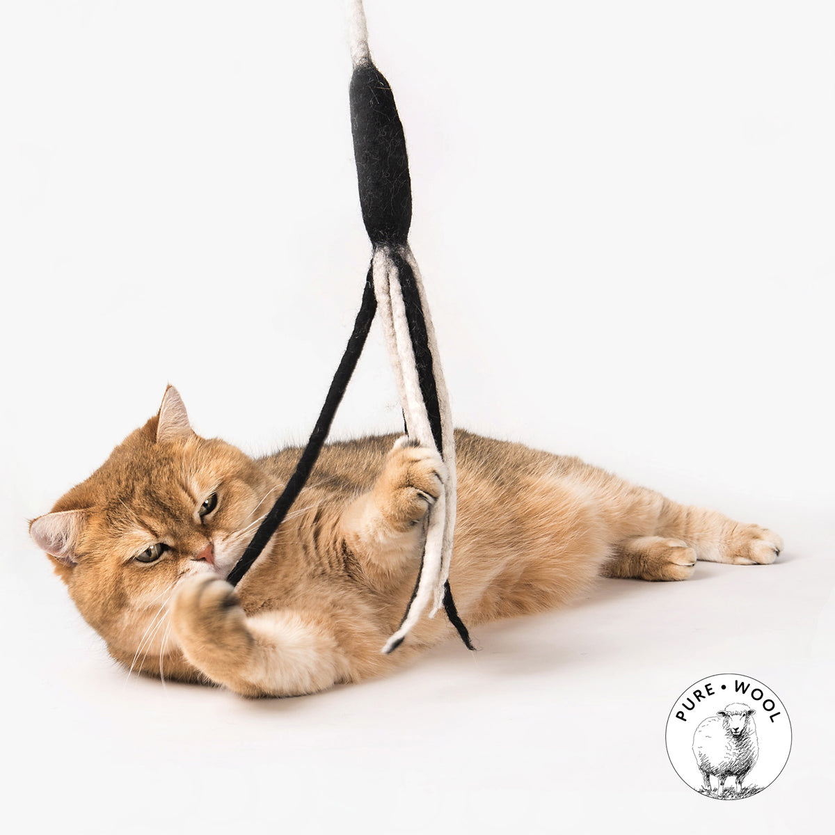 Profeline Large Cat Toy, Felted Tentacle Leash In Black & White Wool | at Made Moggie