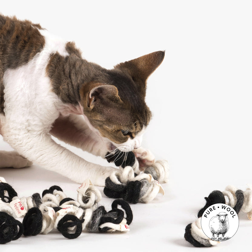 Entice Your Feline Friend with Ecological Wool Cat Spring Toys