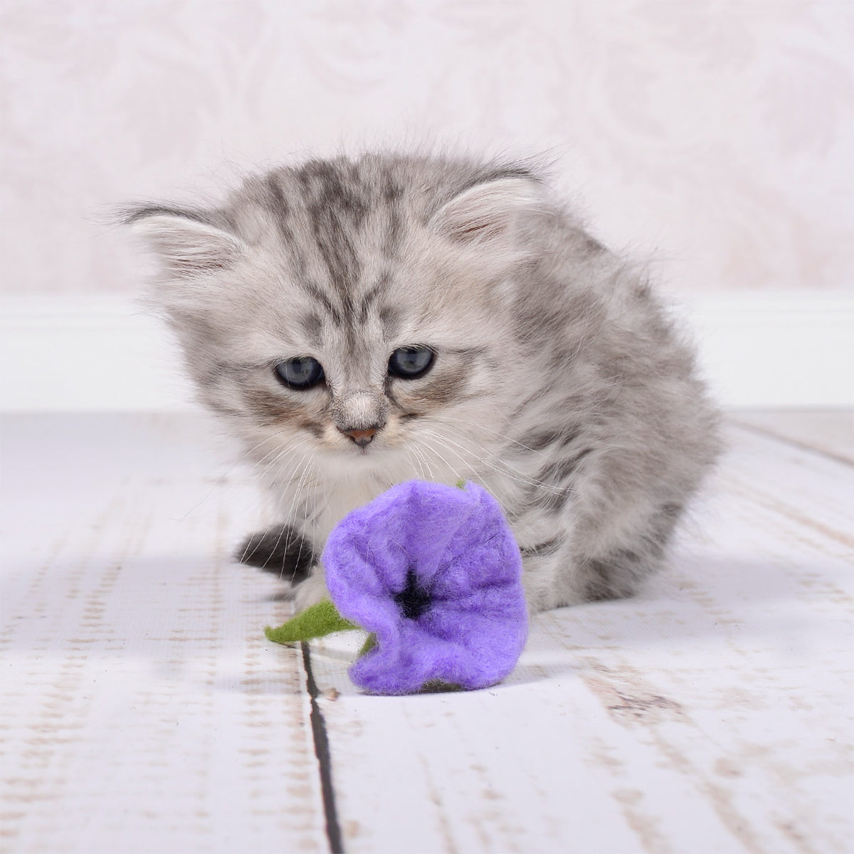 Stylecats Flower Power Kitten Toy, Purple Felt Flower | at Made Moggie