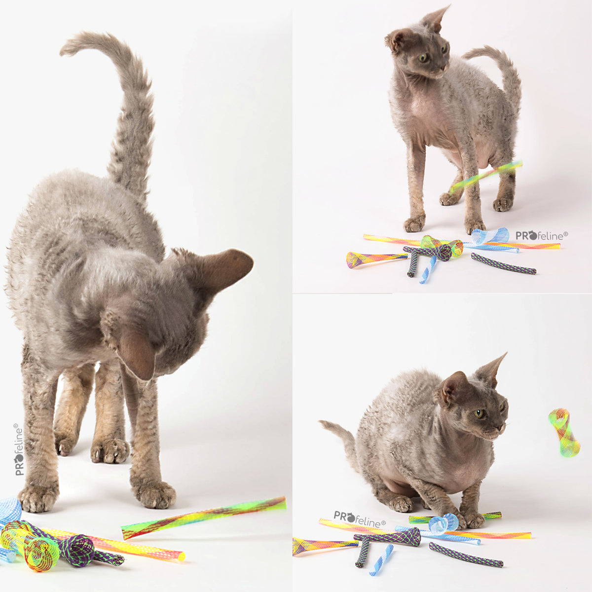 Profeline Cat Spring Toy, Kitty Boinks Nylon Tubes | at Made Moggie