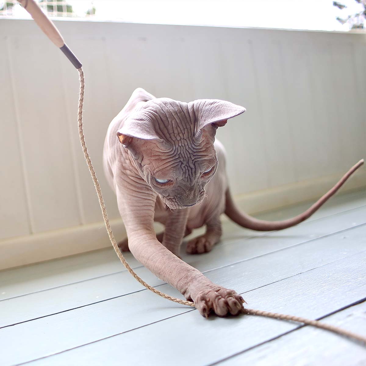 KittyWhip Natural Cat Toy, In Wood & Woven Cotton | at Made Moggie