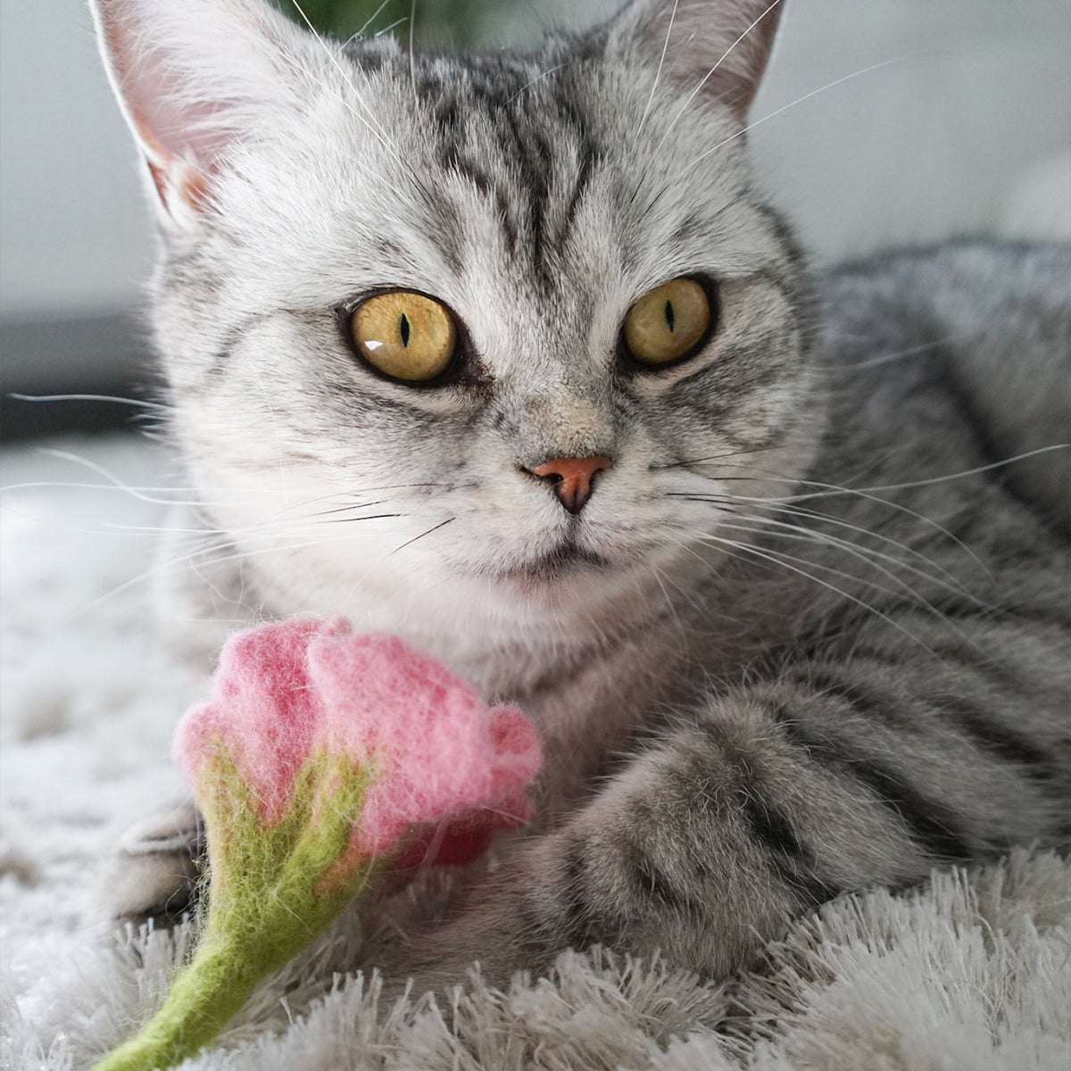 Stylecats Felt Wool Cat Toy, Petunia Flower In Pink | at Made Moggie