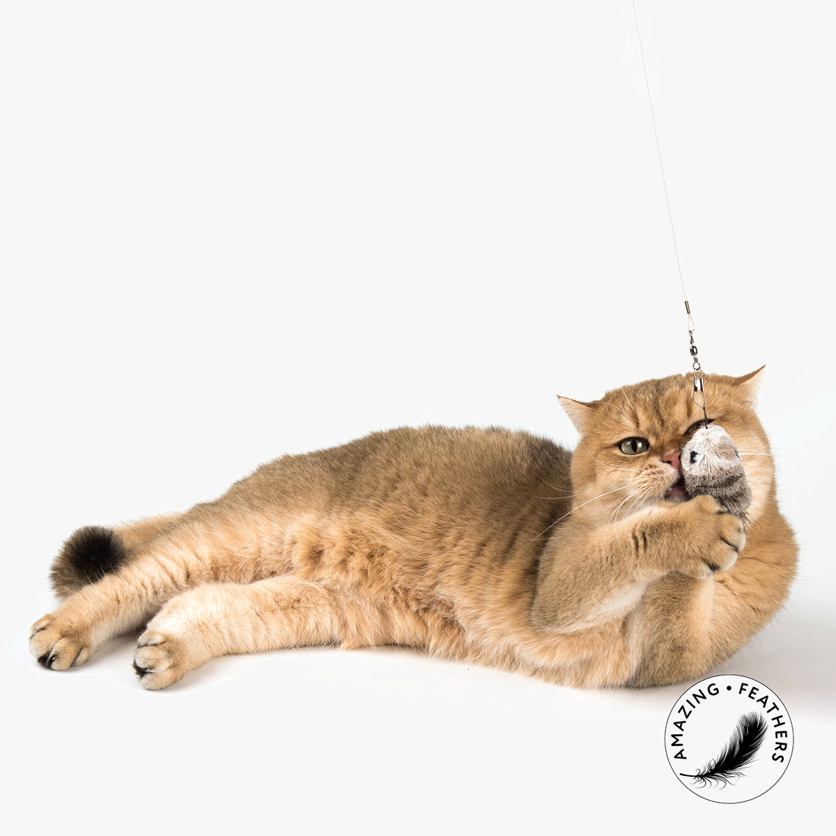 Profeline Mouse Cat Toy, With Natural Bristles | at Made Moggie