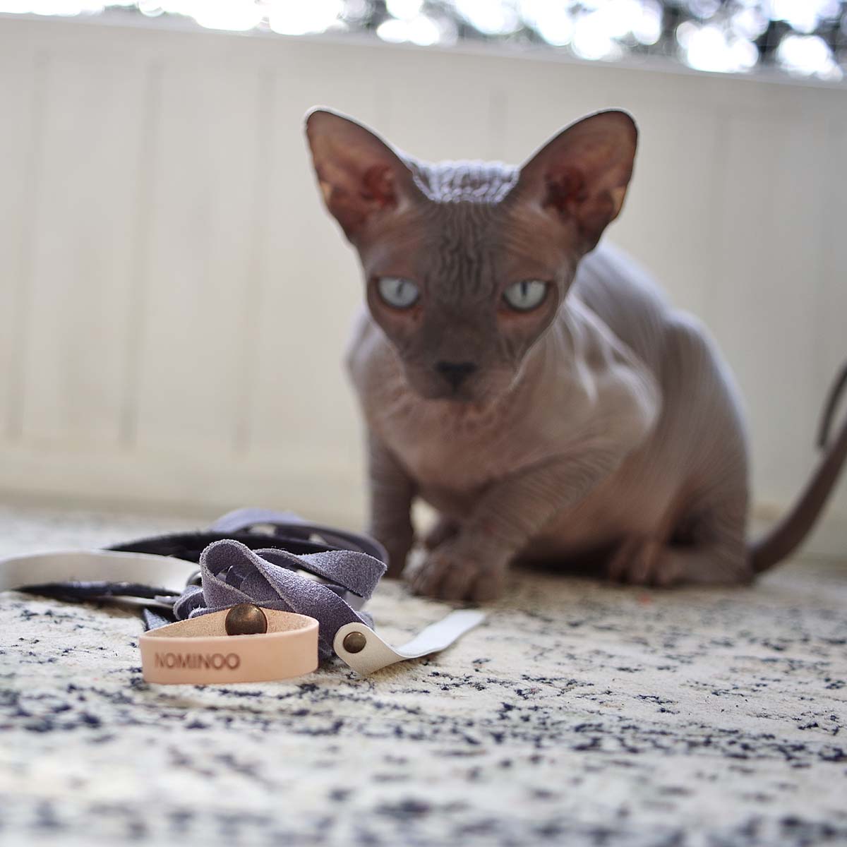 Cat Toy - Long Leather Octopus