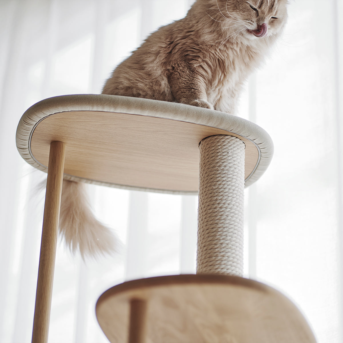 Karimoku Cat Tree With Scratching Post, Now In Australia | at Made Moggie
