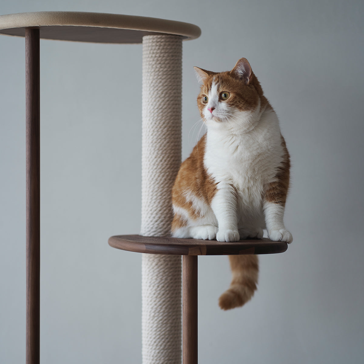 Karimoku Cat Luxury Cat Tree Scratcher, In Premium Walnut Wood | at Made Moggie