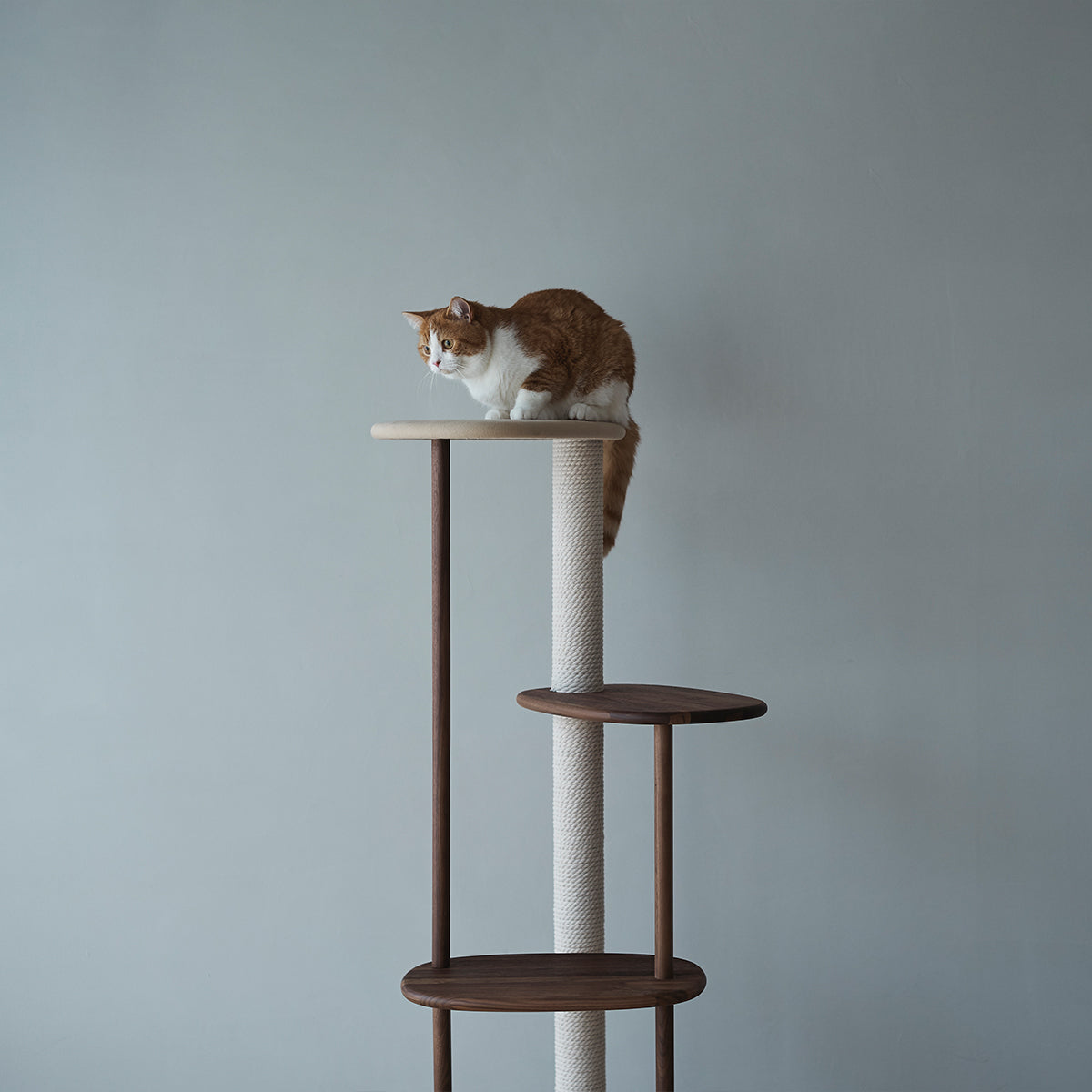 Karimoku Cat 3-Tier Modern Cat Tree, In Wood With Cotton Scratch Posts | at Made Moggie