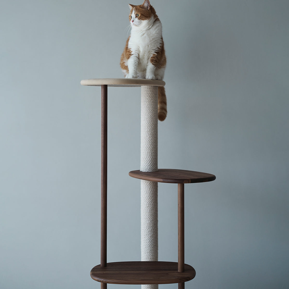 Karimoku Cat Tree, Handmade With Luxury Wood & Fabric | at Made Moggie