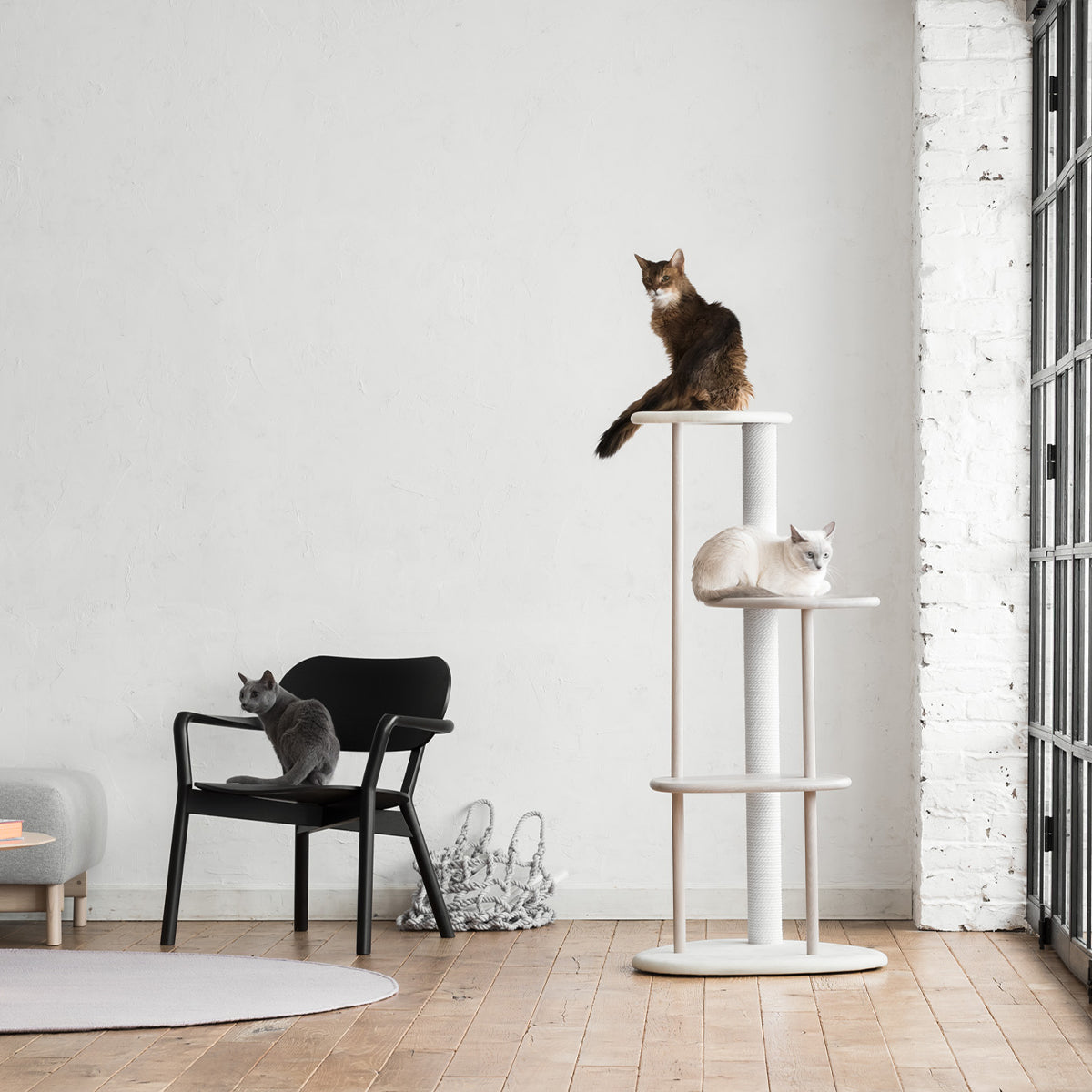 Karimoku Cat Scratching Tree In All White, Minimalist Style | at Made Moggie