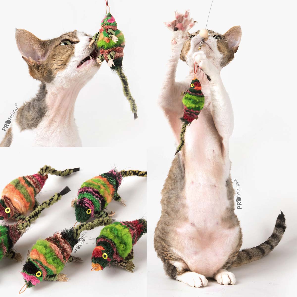 Profeline Cute Cat Toy Chameleon, Attachment For Cat Wand | at Made Moggie