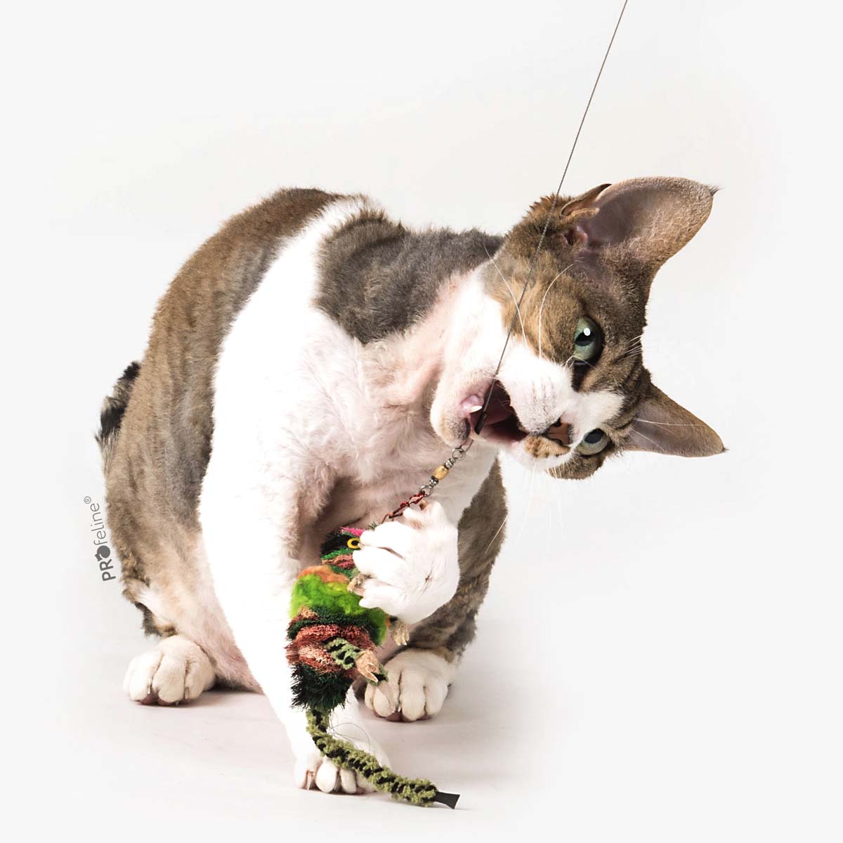 Profeline Woollen Chameleon Cat Toy | at Made Moggie