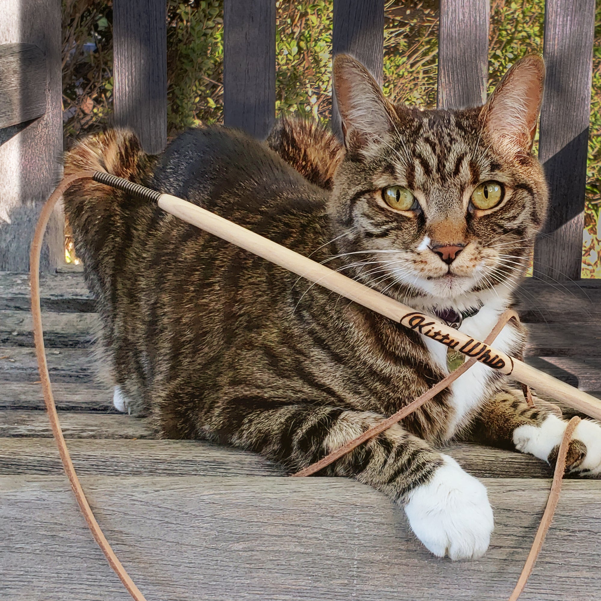 KittyWhip Leather Cat Wand Toy, Handmade With Wood In USA | at Made Moggie
